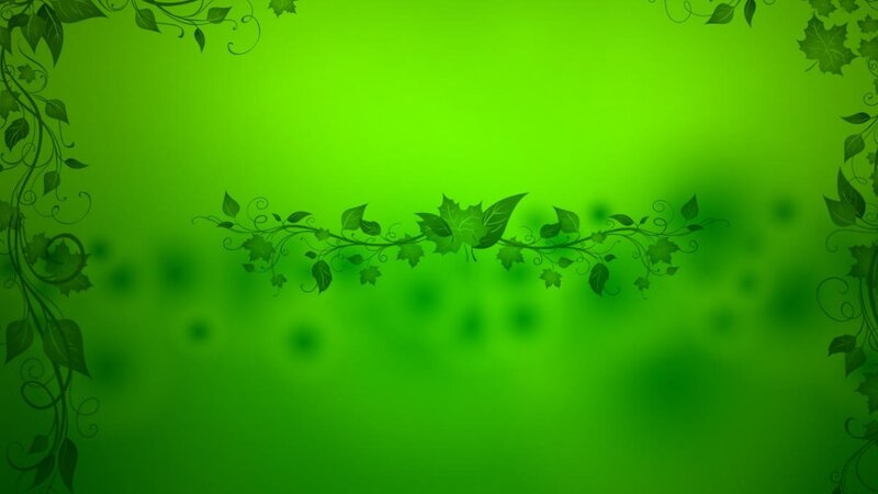 Green Leafy Vines — Calm