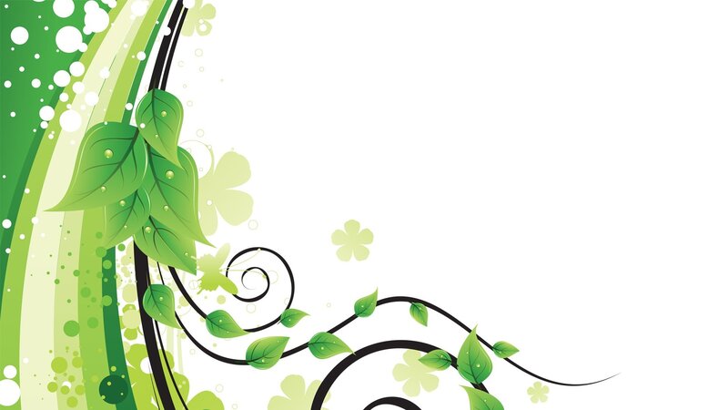 Green Leafy Vines — Fresh