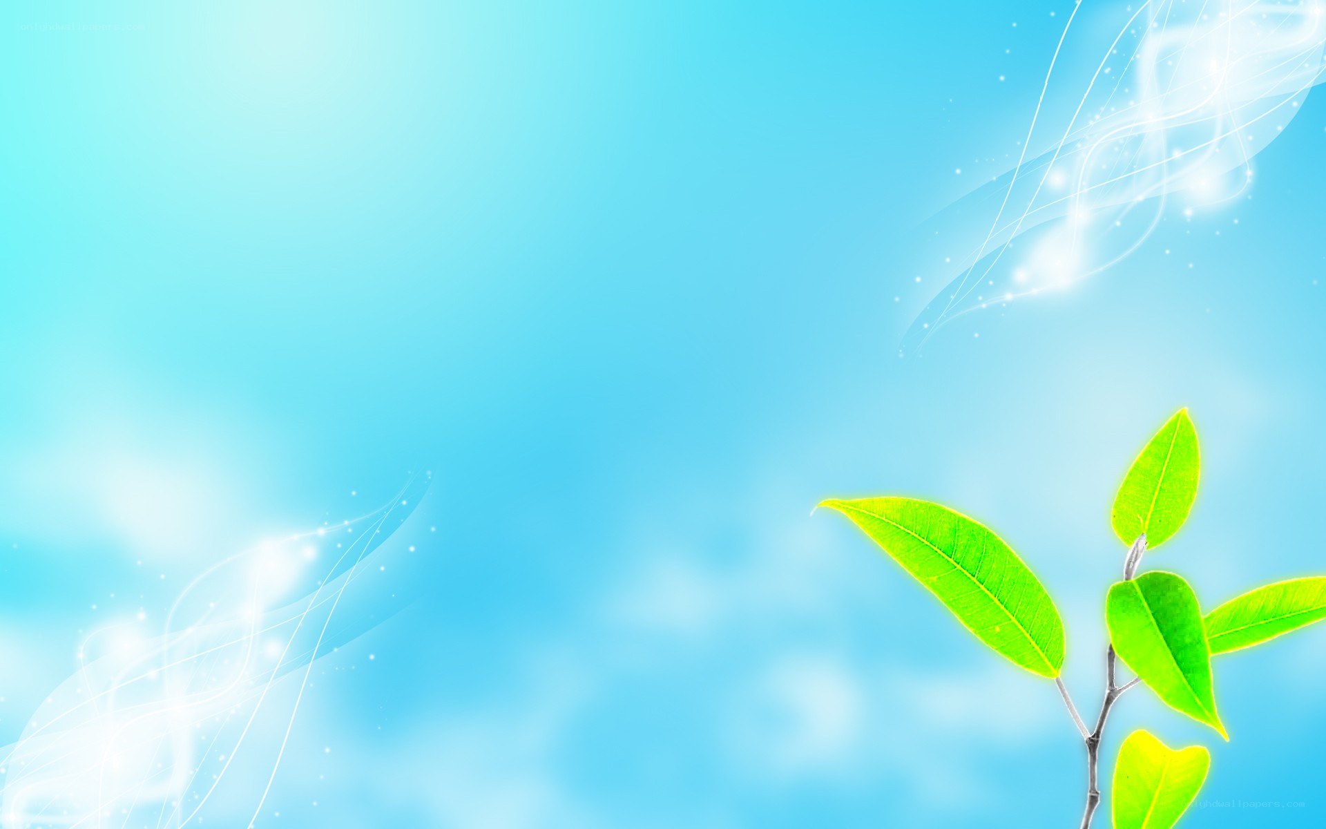 green leaves against blue sky