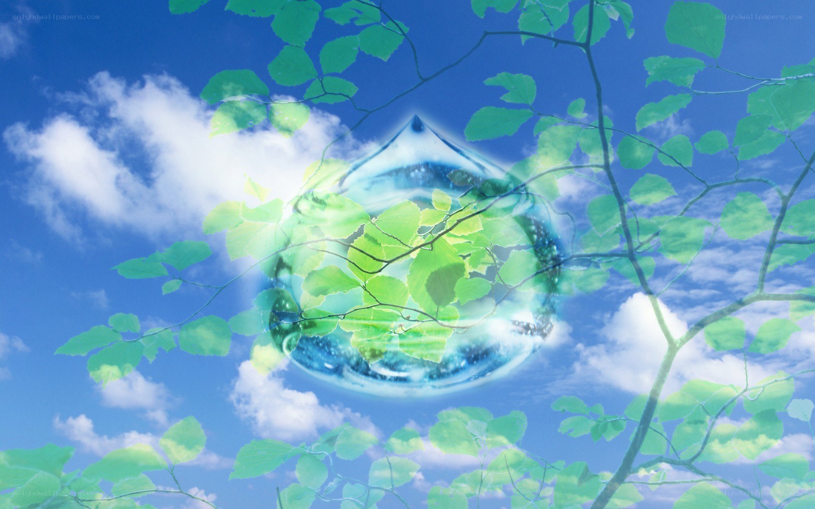green leaves and blue sky