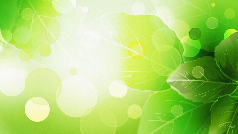 Green Leaves and Bokeh