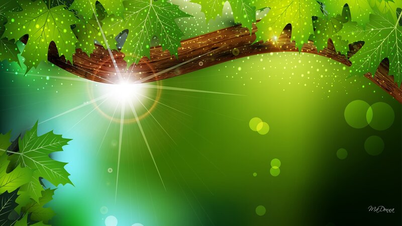 Green Leaves and Branch