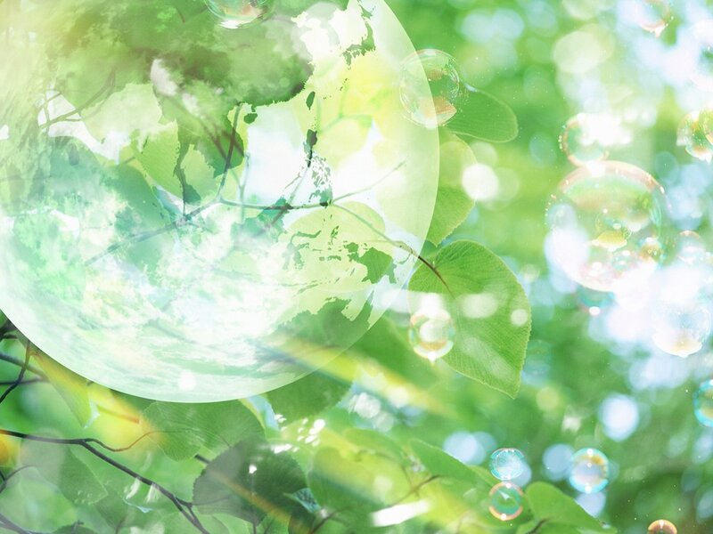Green Leaves and Bubbles — Serene, Morning