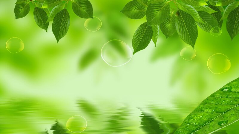 green leaves and bubbles