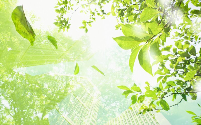 Green Leaves and Buildings — Serene