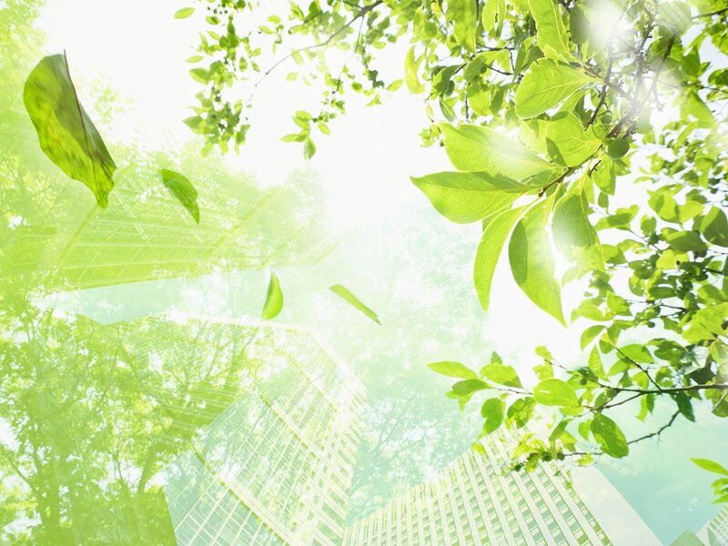 Green Leaves and Buildings