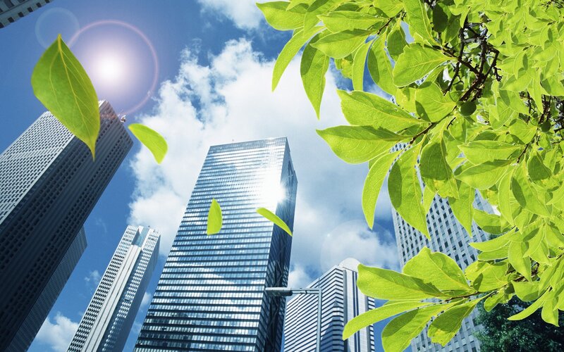 Green leaves and city skyscrapers