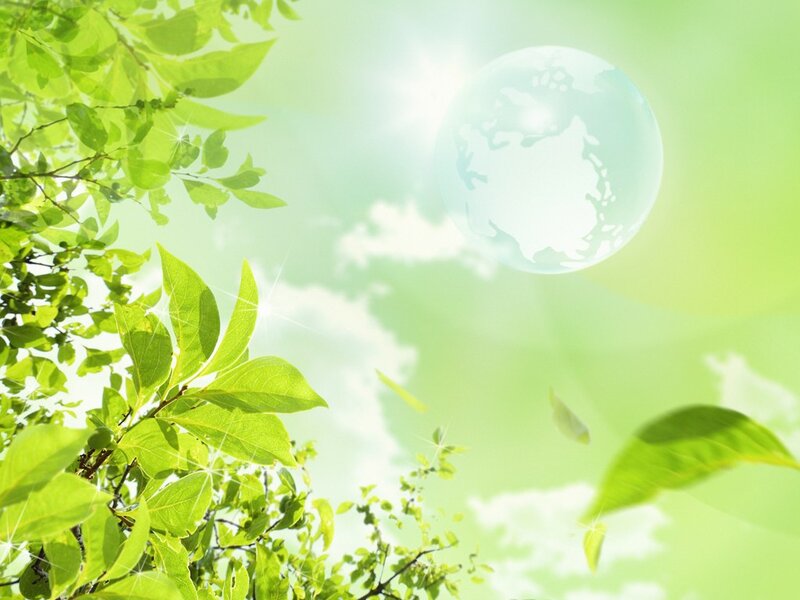 Green Leaves and Globe — Serene, Morning
