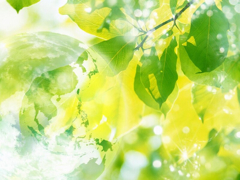 Green Leaves and Globe — Serene