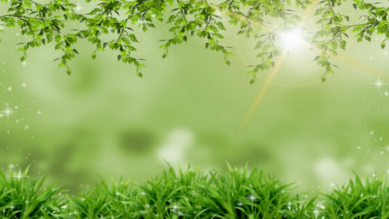 Green Leaves and Grass — Serene