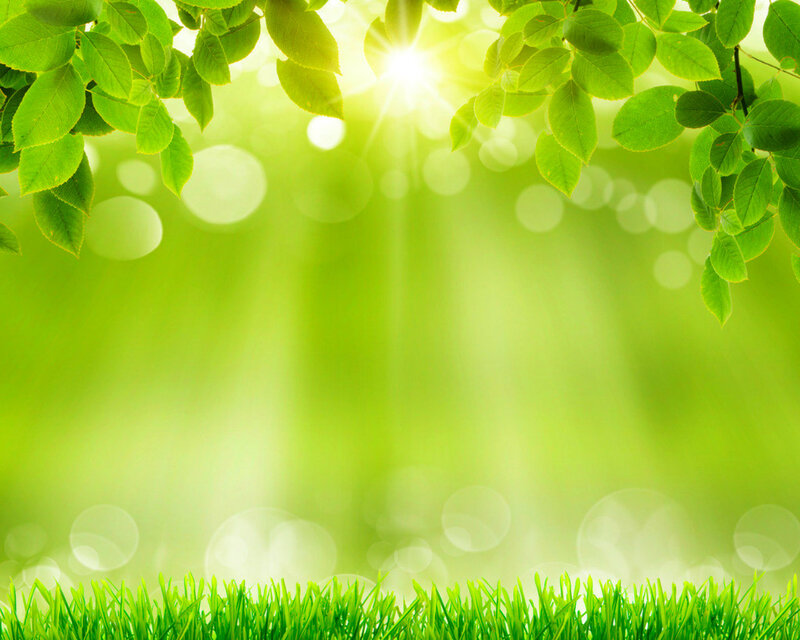Green Leaves and Grass