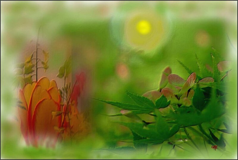 Green Leaves and Orange Flower
