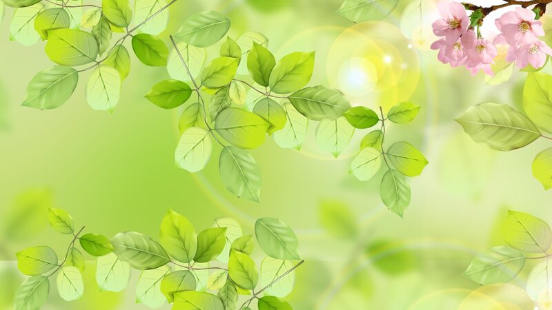 Green Leaves and Pink Flowers