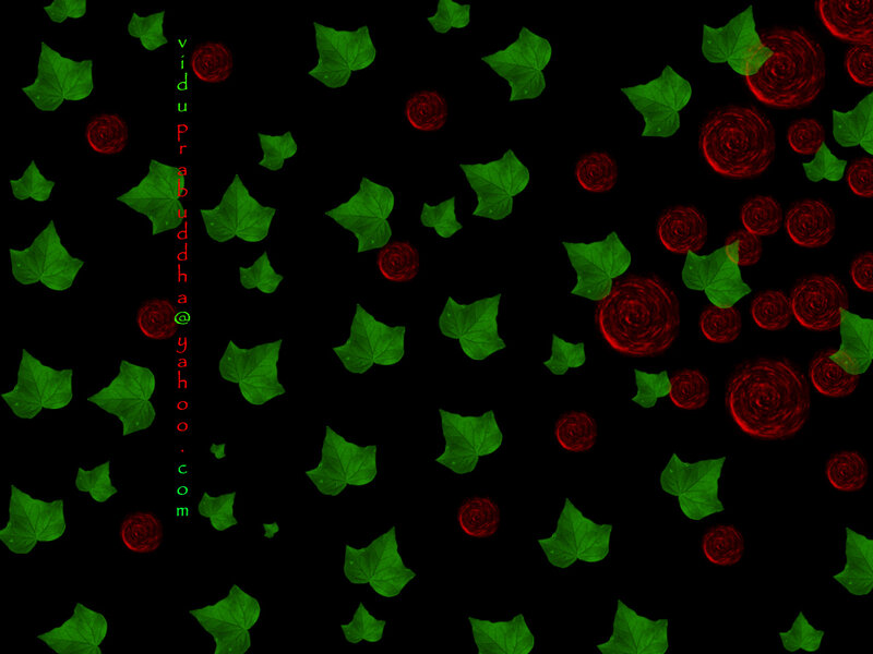 green leaves and red roses
