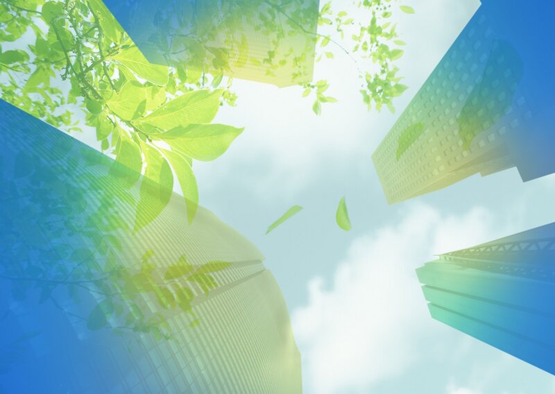 Green Leaves and Skyscrapers — Serene