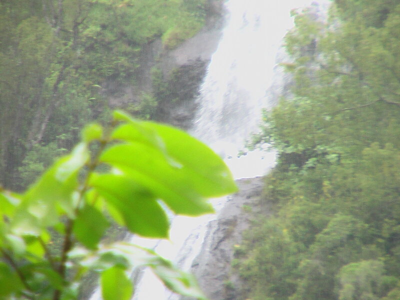 Green Leaves and Waterfall — Natural