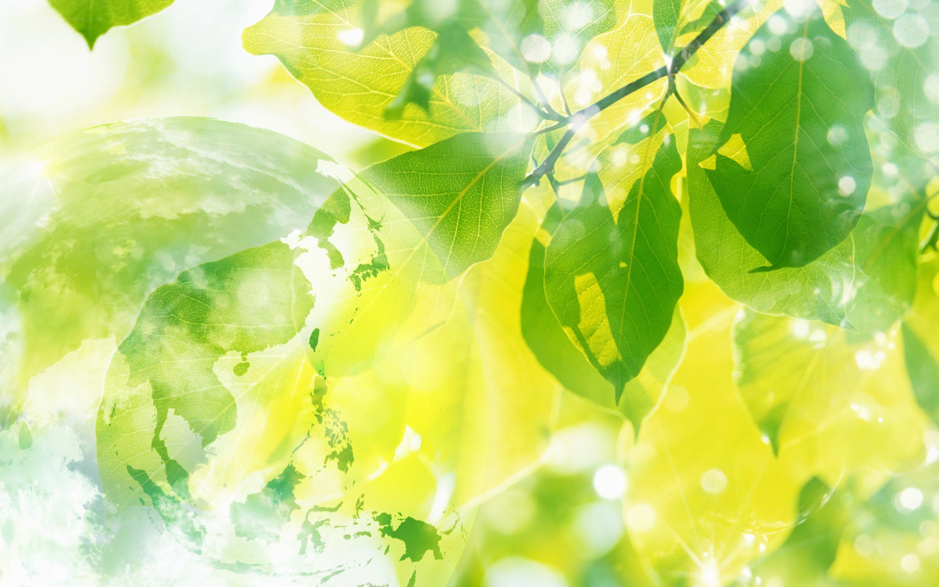 green leaves and world