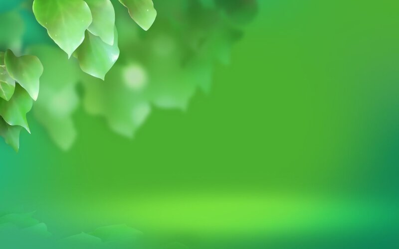 green leaves background