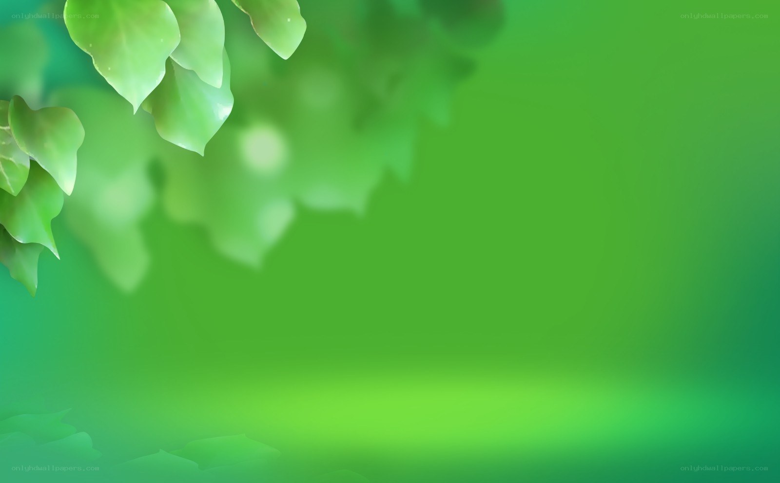 green leaves background