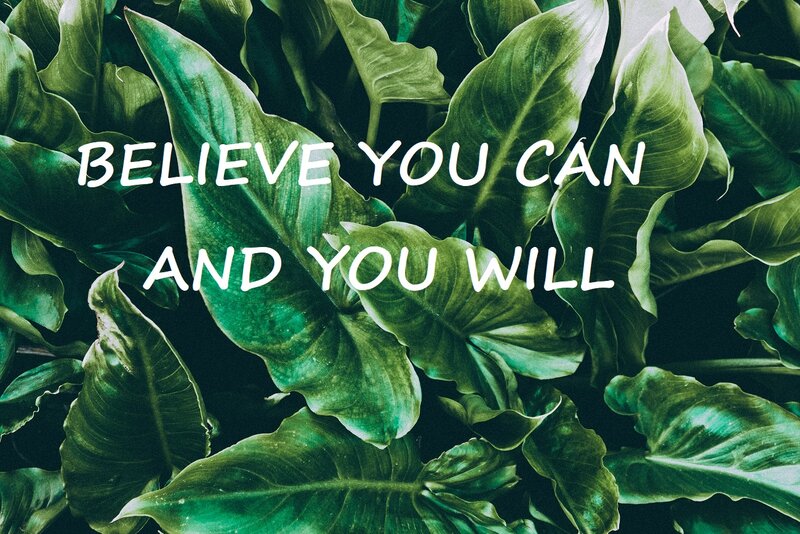 Green Leaves Background — Calm