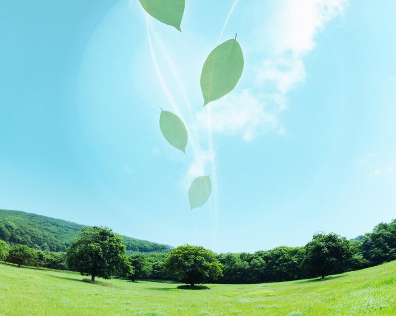 Green leaves falling in a field