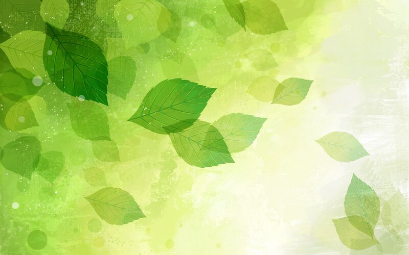 Green Leaves Floating — Serene