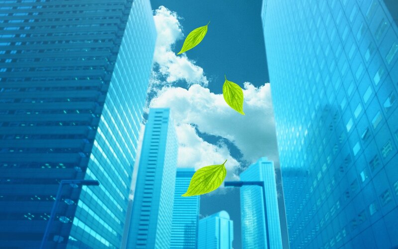 green leaves in city skyline