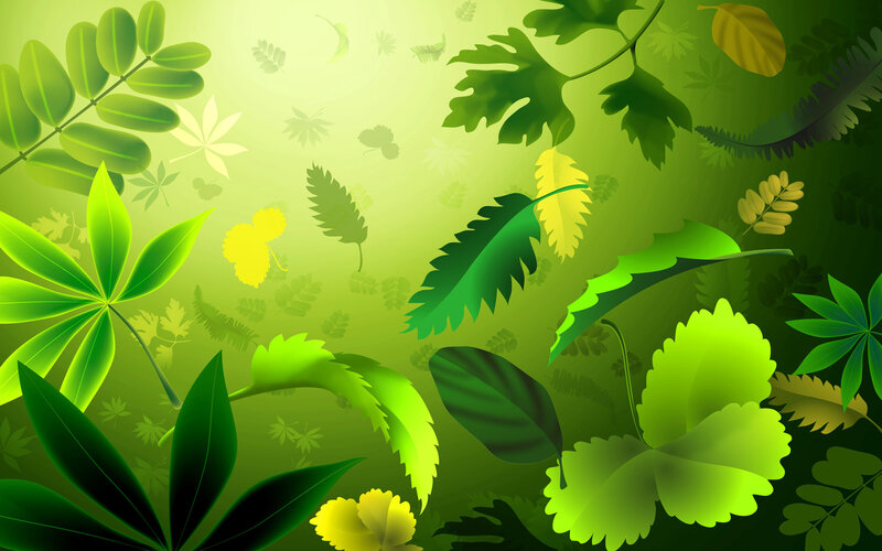 Green Leaves in Forest — Serene, Digital Art