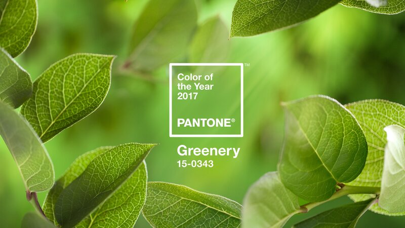 Green Leaves in Sunlight — Natural, Photograph