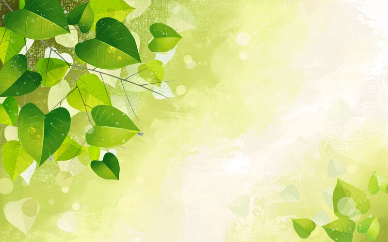 green leaves on a soft background