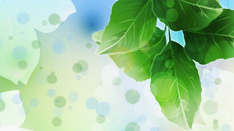 Green Leaves on Abstract Background