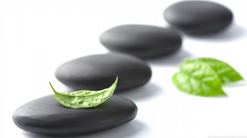 Green Leaves on Black Stones