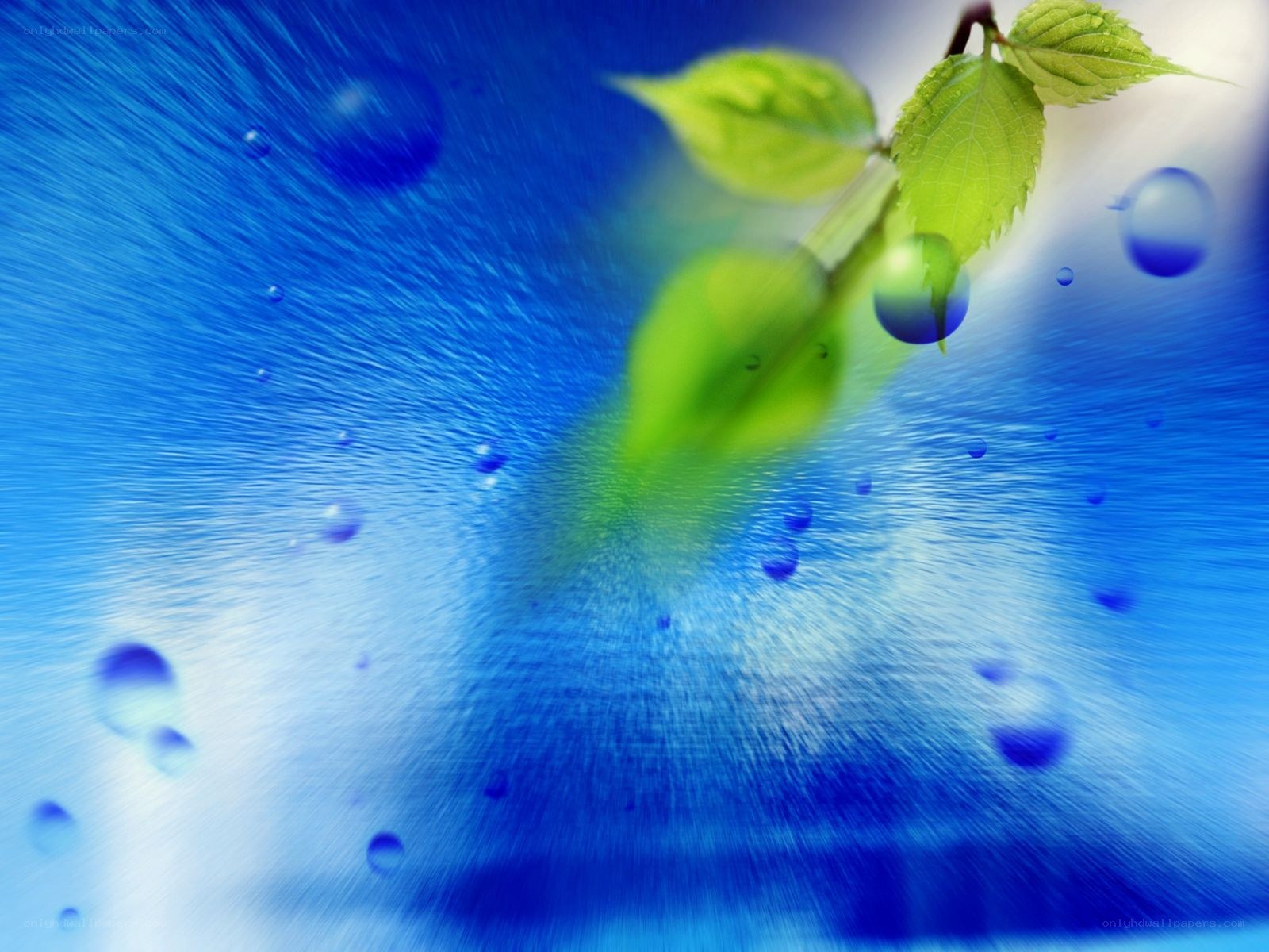 green leaves on blue background