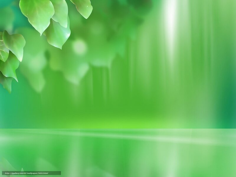 green leaves on blurred background