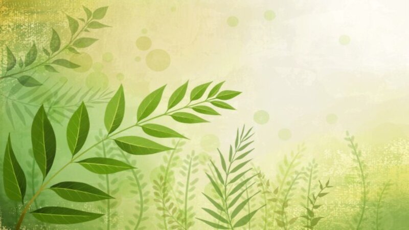 Green Leaves on Branches — Serene, Illustration