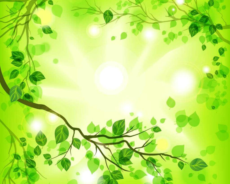 Green Leaves on Branches — Serene, Morning, Digital Art