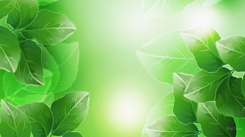 Green Leaves on Light Background