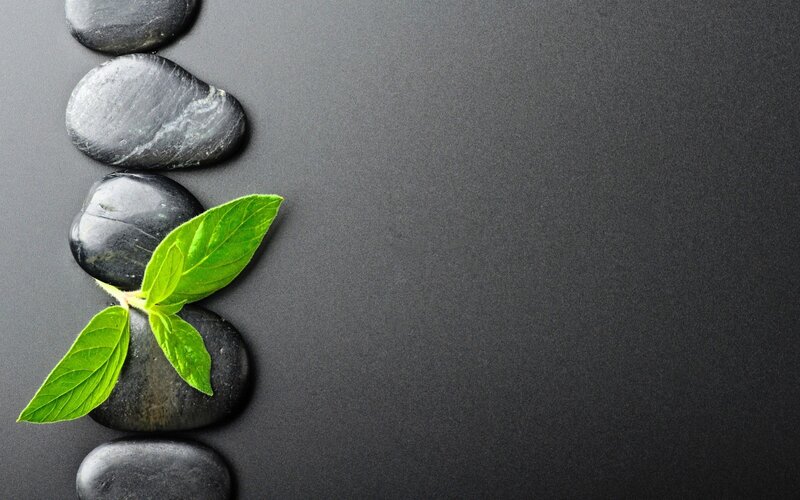 Green Leaves on Stones