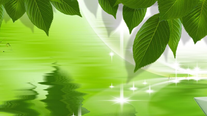 Green Leaves on Water — Serene, Digital Art