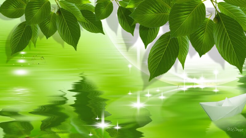 Green Leaves over Water — Serene, Digital Art