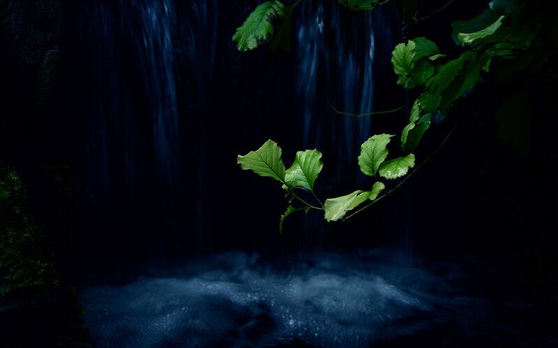 Green Leaves over Waterfall
