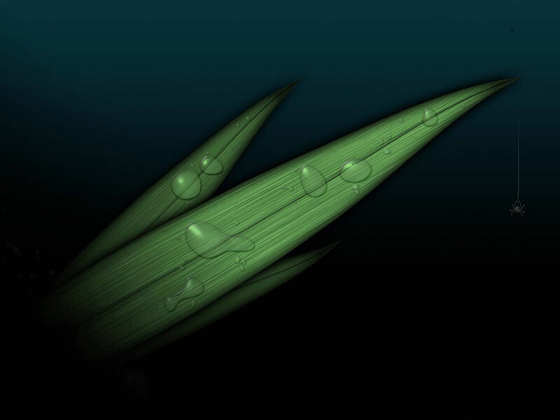 green leaves underwater