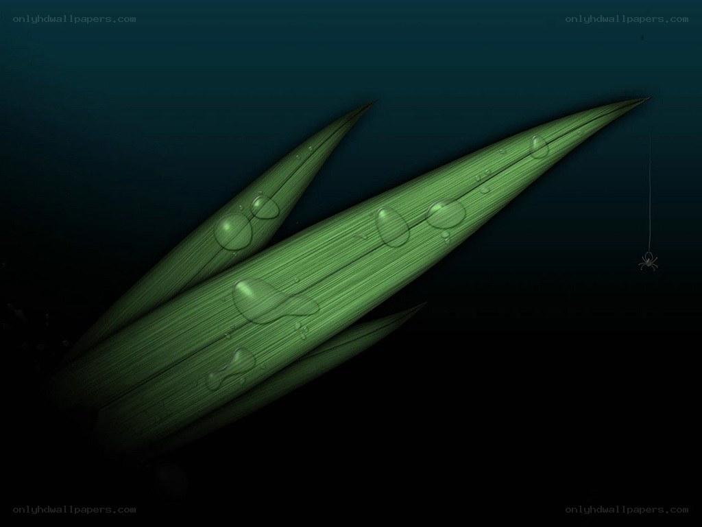green leaves underwater