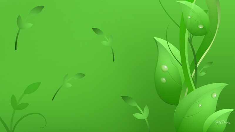 Green Leaves with Dewdrops
