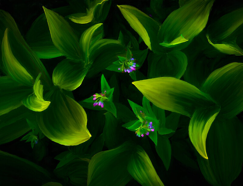 Green Leaves with Purple Flowers — Dramatic