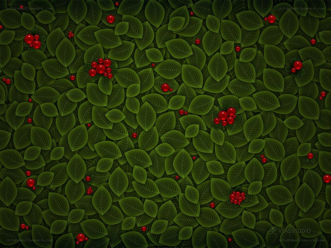 green leaves with red berries