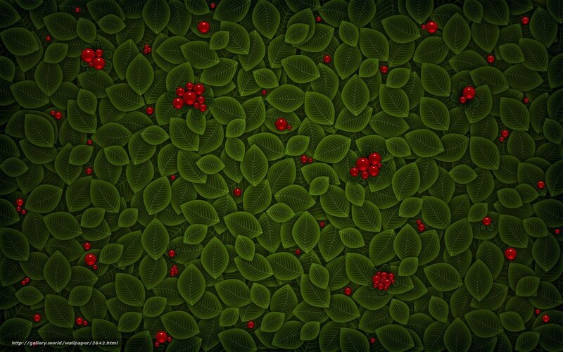green leaves with red berries