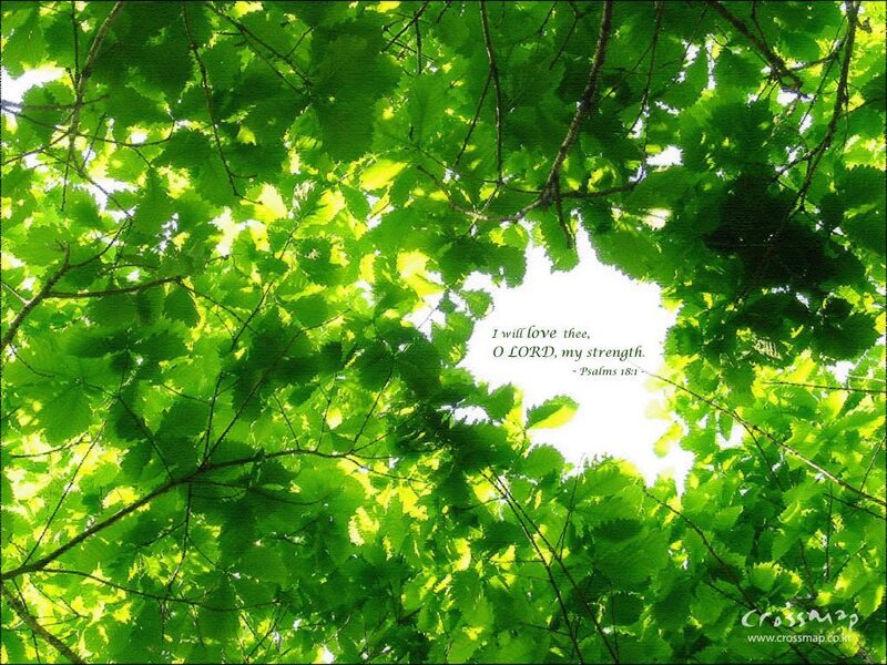 green leaves with scripture