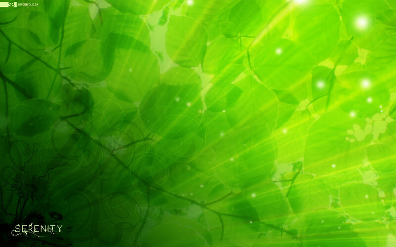 Green leaves with sun rays