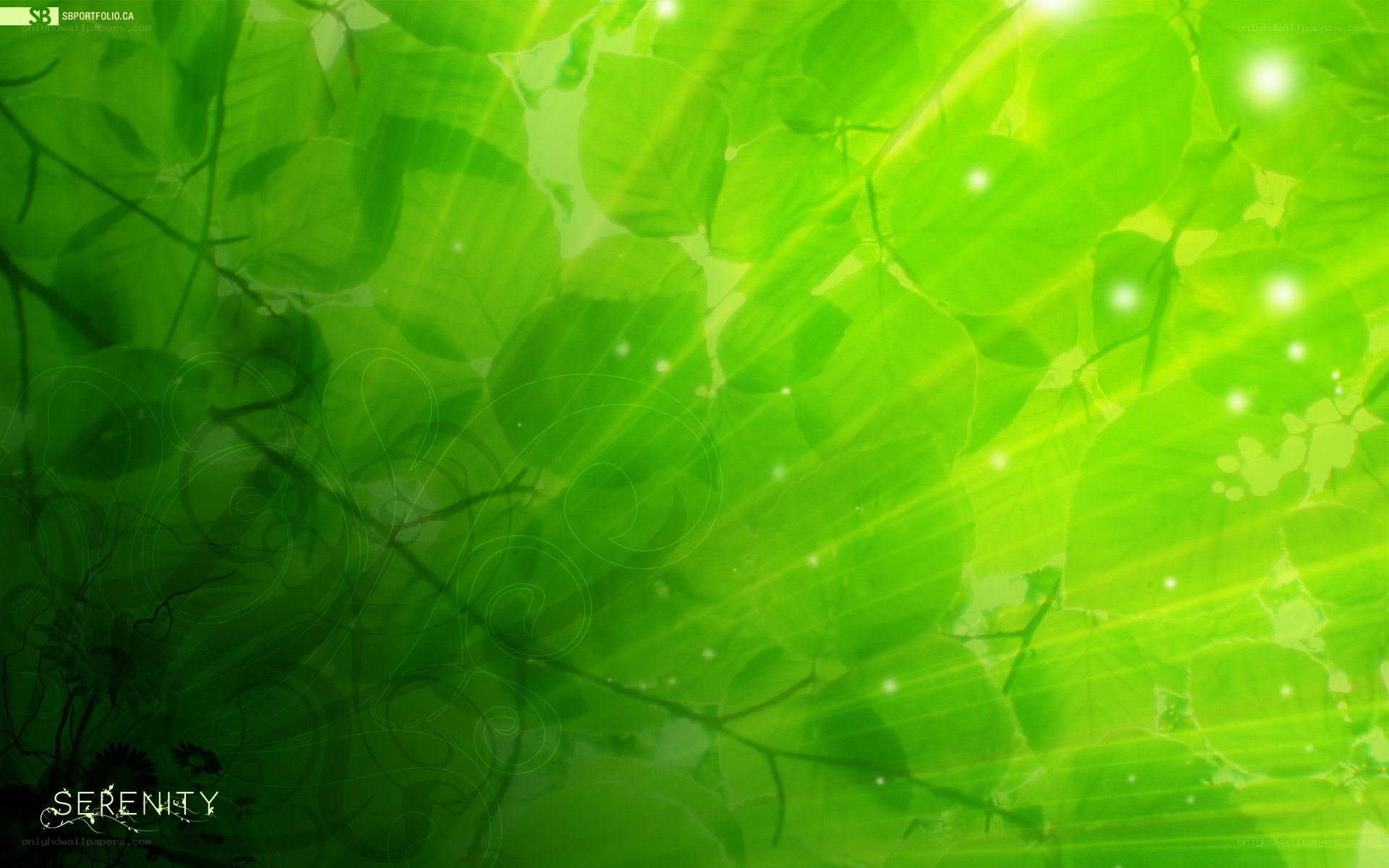 Green leaves with sun rays